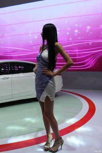 八月金城，風(fēng)尚盛典 蘭州女性與車展的美麗交響